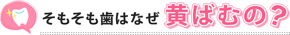 そもそも歯はなぜ黄ばむの?