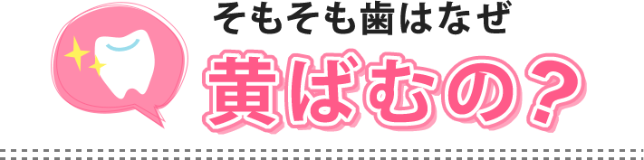 そもそも歯はなぜ黄ばむの?
