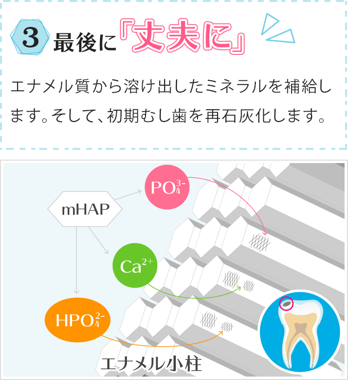 3.最後に「丈夫に」エナメル質から溶け出したミネラルを補給します。そして、初期むし歯を再石灰化します。