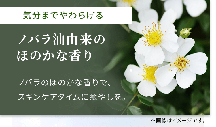 ノバラ油由来のほのかな香り