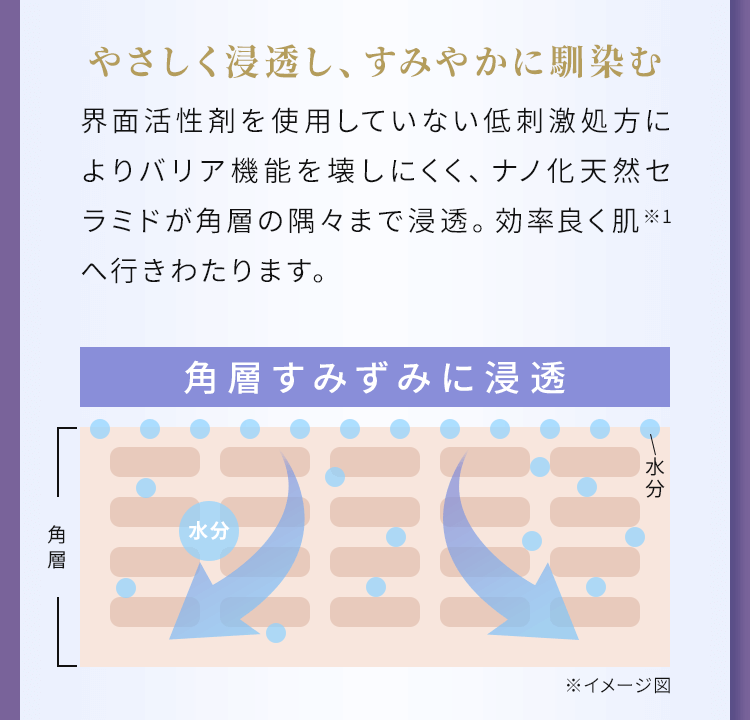 やさしく浸透し、すみやかに馴染む