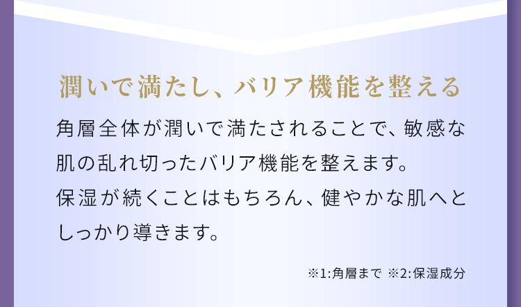 潤いで満たし、バリア機能を整える