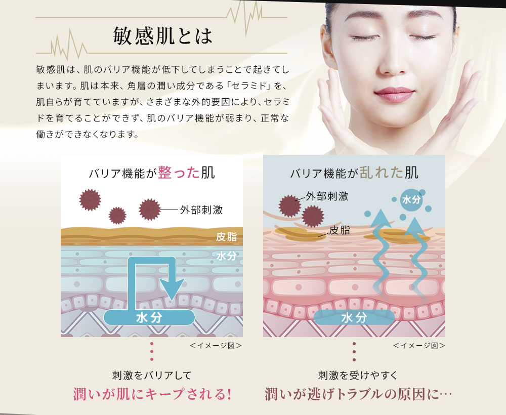 敏感肌は、肌のバリア機能が低下してしまうことで起きてしまいます。