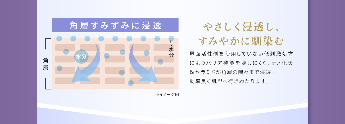 やさしく浸透※1し、すみやかに馴染む