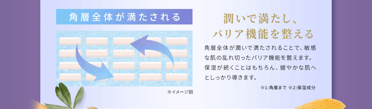 潤いで満たし、バリア機能を整える
