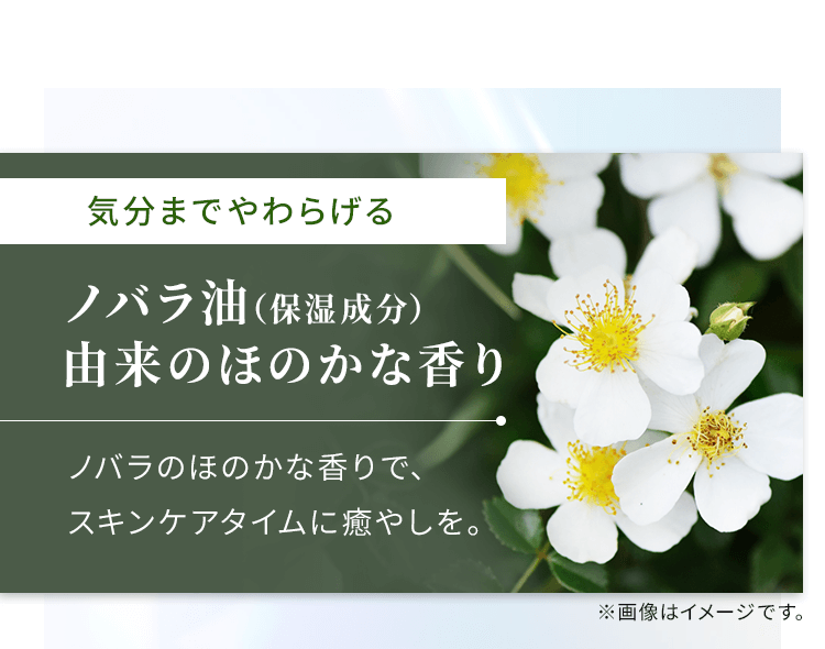 ノバラ油由来のほのかな香り