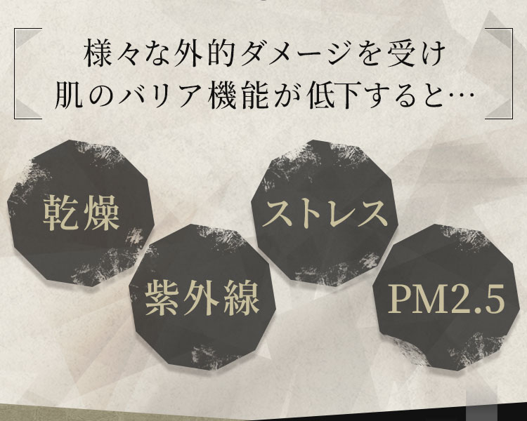 様々な外的ダメージを受け肌のバリア機能が低下すると…