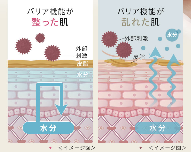 バリア機能が整った肌