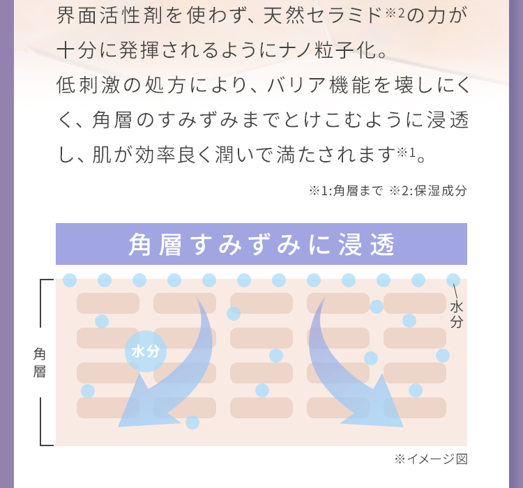 とけこむように浸透し、肌が効率良く潤いで満たされます。