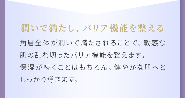 潤いで満たし、バリア機能を整える