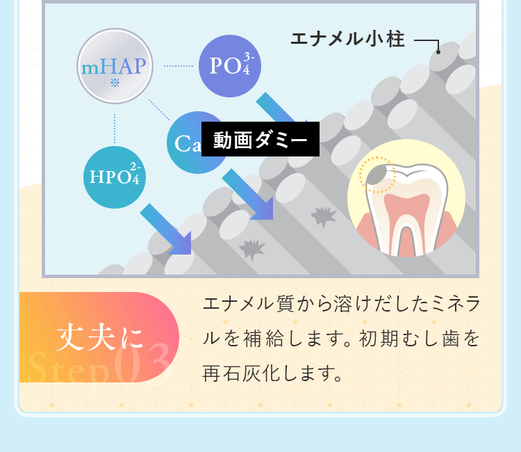 エナメル質から溶けだしたミネラルを補給します。初期むし歯を再石灰化します。