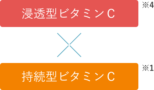 浸透型ビタミンCと持続型ビタミンC